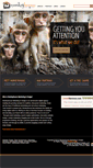Mobile Screenshot of monkeyhousemarketing.com